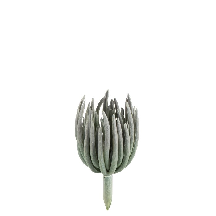 home-decor/artificial-plants-flowers/echeveria-plastic-matte-green