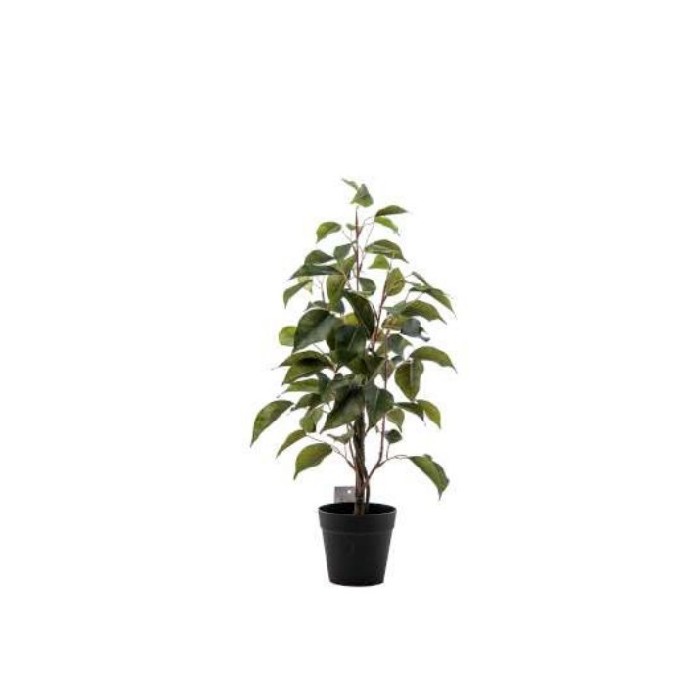 home-decor/artificial-plants-flowers/ficus-plant-green-45cm