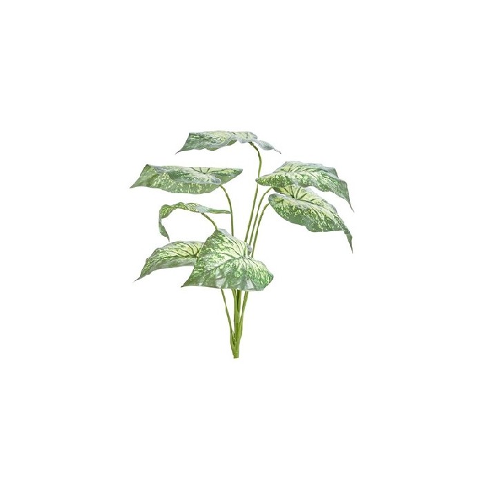home-decor/artificial-plants-flowers/alocasia-cucullata-bush-70cm