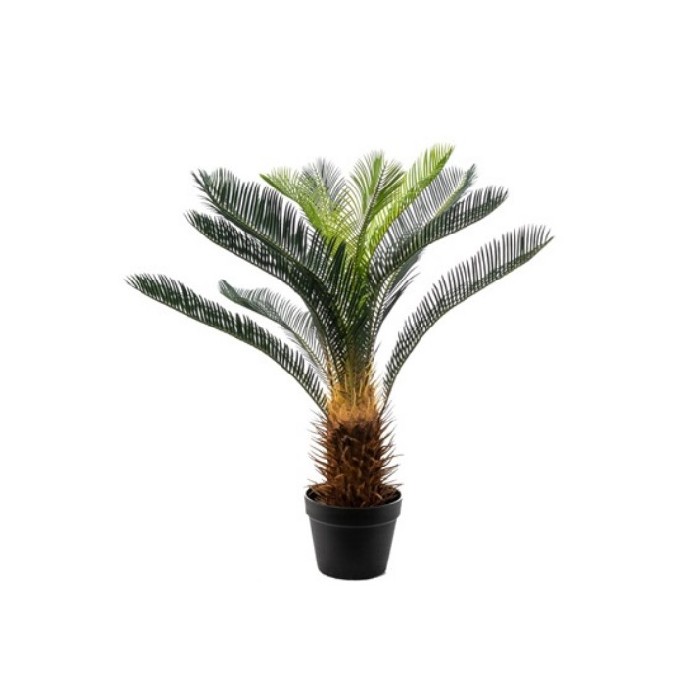 home-decor/artificial-plants-flowers/cycas-plant-70cm