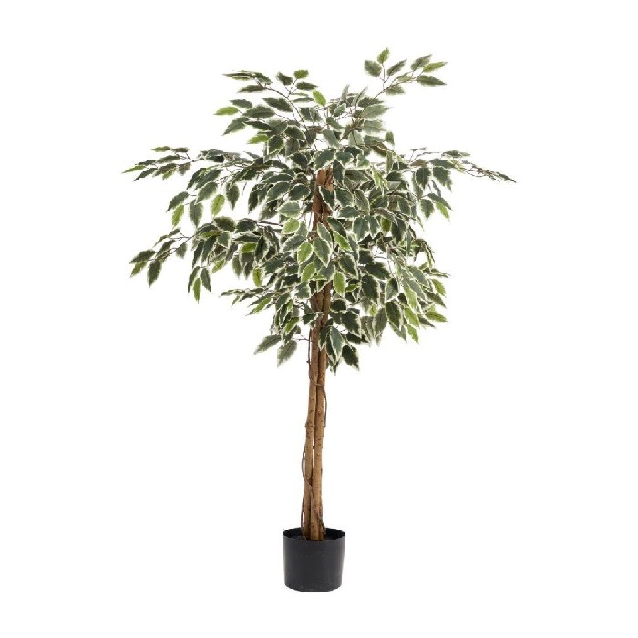 home-decor/artificial-plants-flowers/ficus-variegated-120cm