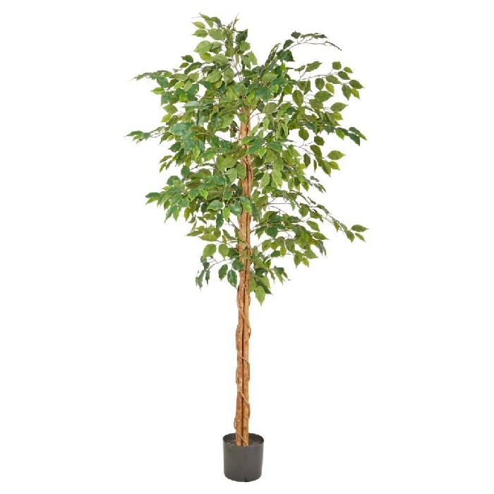 home-decor/artificial-plants-flowers/ficus-green-120cm