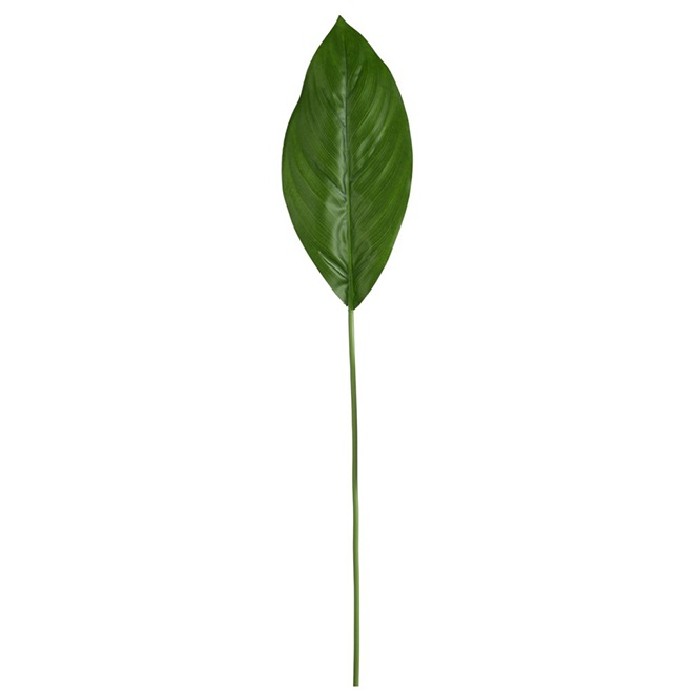 home-decor/artificial-plants-flowers/aspidistra-leaf-stem-65cm