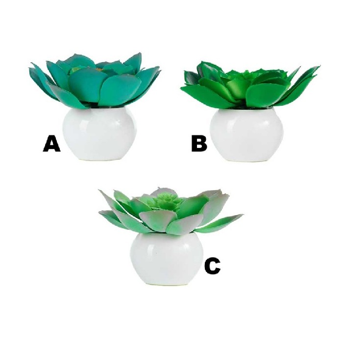 home-decor/artificial-plants-flowers/aeonium-potted-12cm-3-assorted
