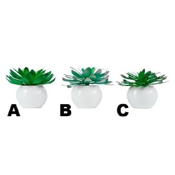 home-decor/artificial-plants-flowers/sedum-potted-11cm-3-assorted