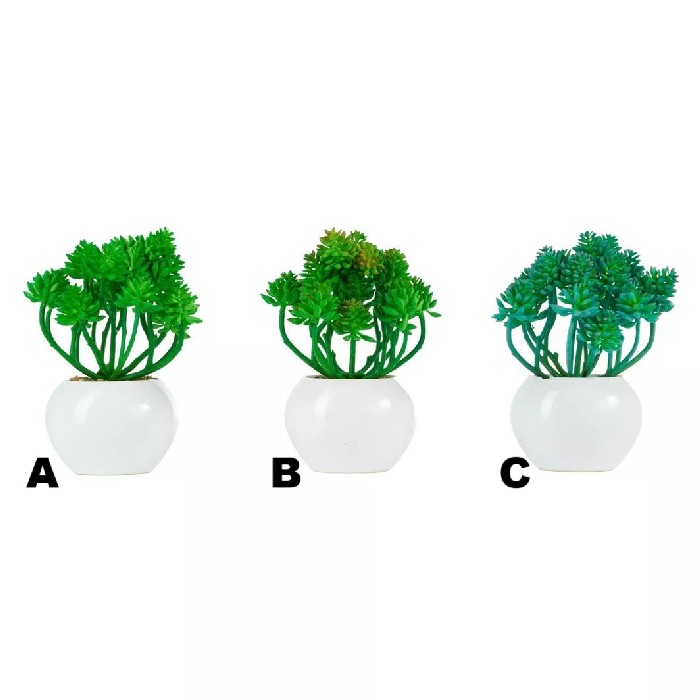 home-decor/artificial-plants-flowers/sedum-burrito-potted-16cm-3-assorted
