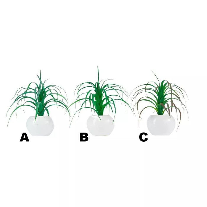home-decor/artificial-plants-flowers/tillandisa-potted-17cm-3-assorted