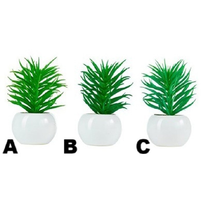 home-decor/artificial-plants-flowers/dudleya-potted-12cm-3-assorted