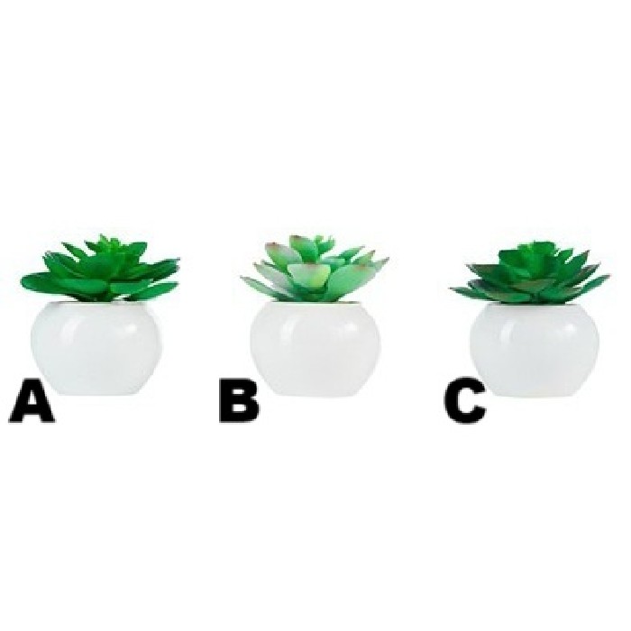 home-decor/artificial-plants-flowers/aeonium-potted-11cm-3-assorted