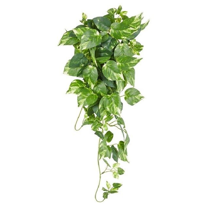 home-decor/artificial-plants-flowers/hanging-pothos-bush-55cm