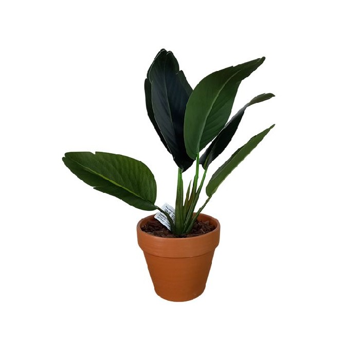 home-decor/artificial-plants-flowers/strelitzia-bush-34cm-potted