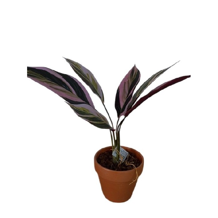 home-decor/artificial-plants-flowers/cordyline-fruticosa-bush-41cm-potted