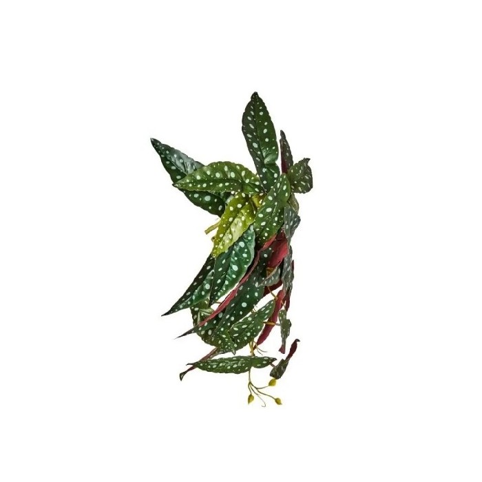 home-decor/artificial-plants-flowers/begonia-maculata-plant-45cm