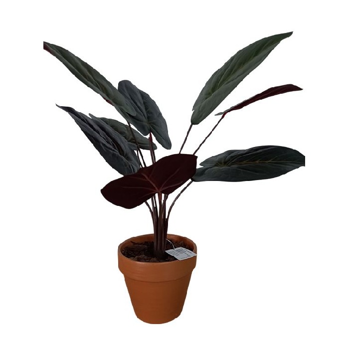home-decor/artificial-plants-flowers/red-caladium-plant-50cm-potted