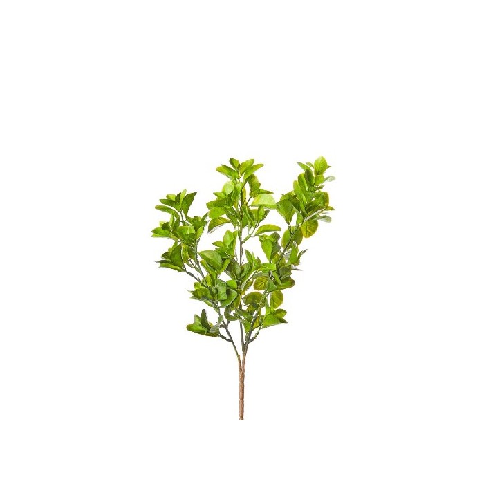 home-decor/artificial-plants-flowers/ruscus-plant-44cm