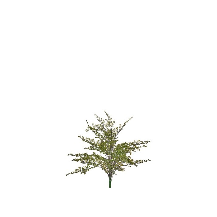 home-decor/artificial-plants-flowers/maiden-hair-bush