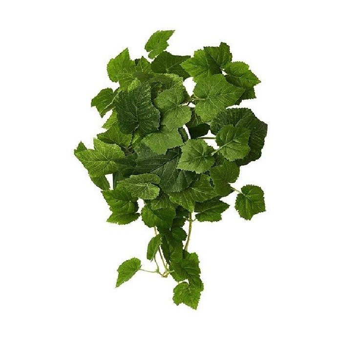 home-decor/artificial-plants-flowers/grape-artificial-plant-40cm