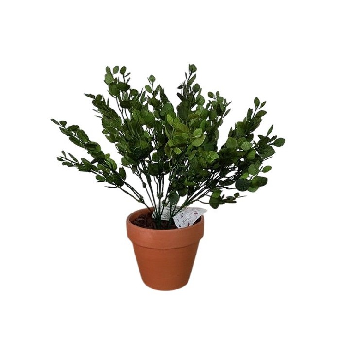 home-decor/artificial-plants-flowers/tea-leaf-bush-potted