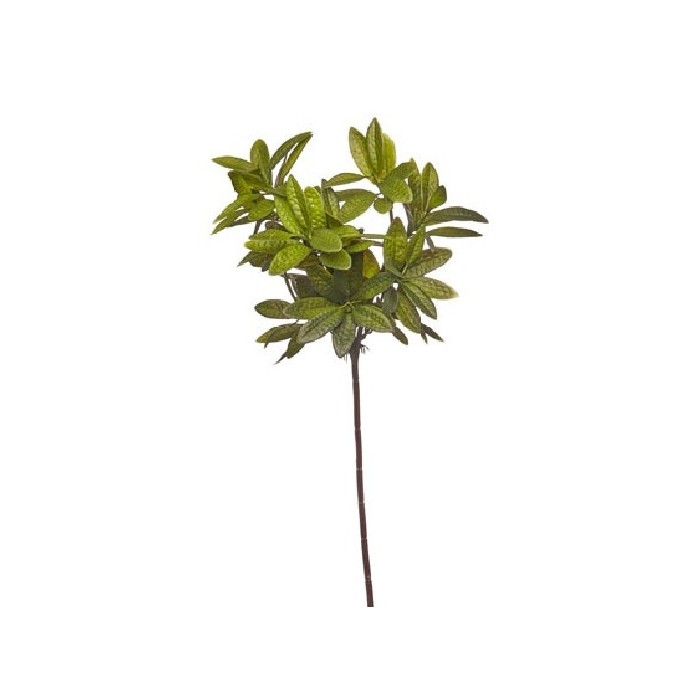 home-decor/artificial-plants-flowers/schefflera-leaves-bush