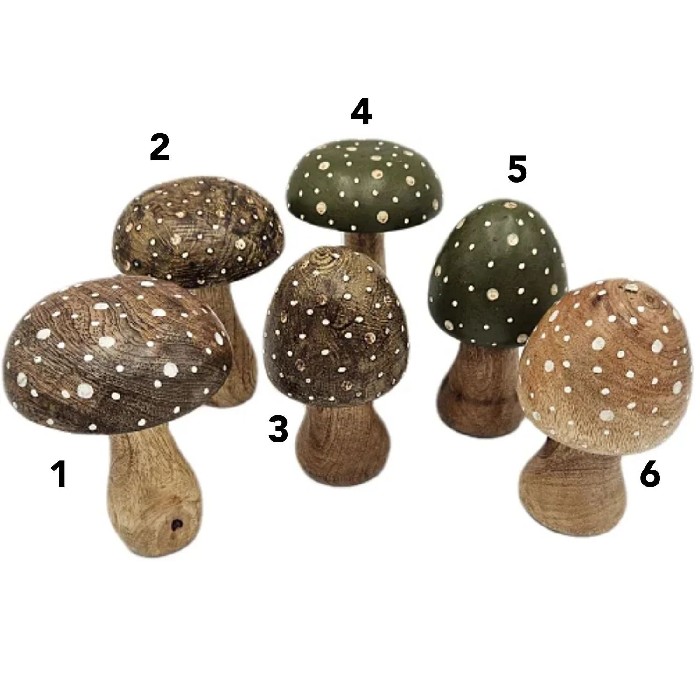 home-decor/decorative-ornaments/mushroom-figurine-–-9cm-x-15cm-6-assorted-designs