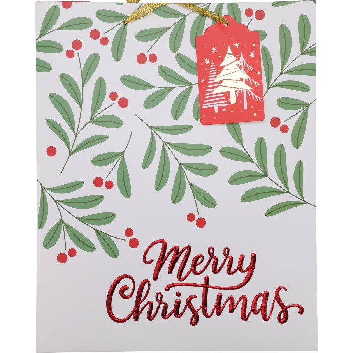 christmas/wrapping-paper-ribbons/gift-bag-extra-large-4-assorted-ab8000990