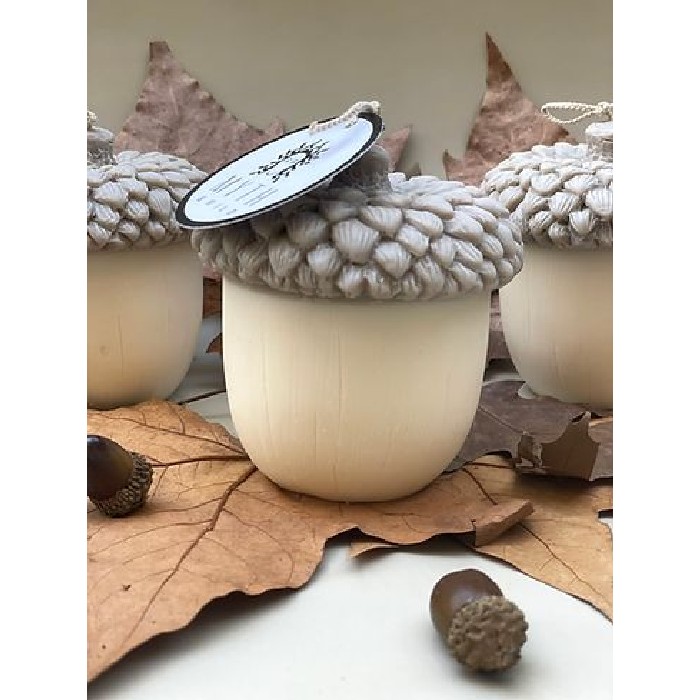 home-decor/candles-home-fragrance/myth-and-wild-acorn-candle