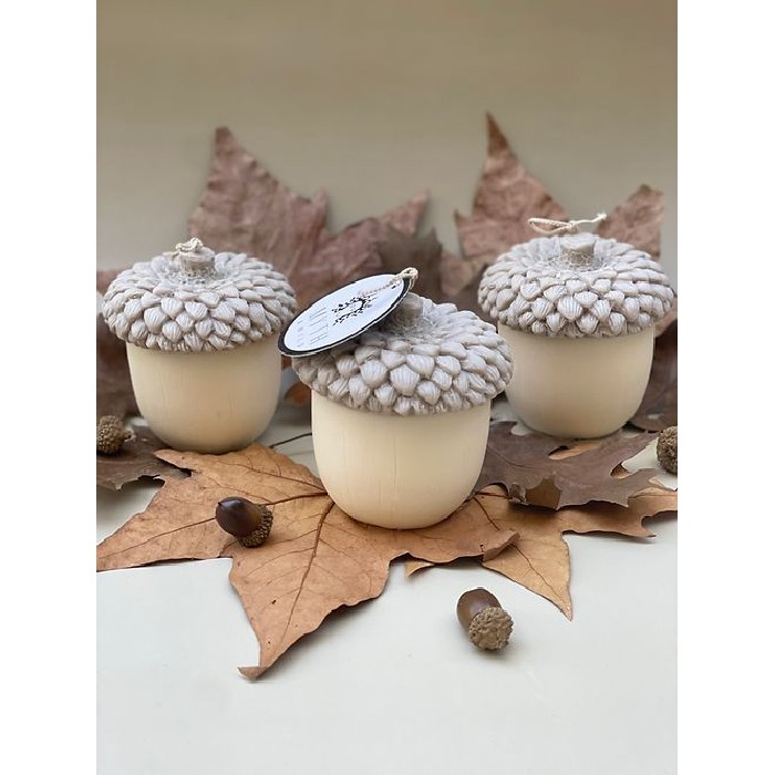 home-decor/candles-home-fragrance/myth-and-wild-acorn-candle
