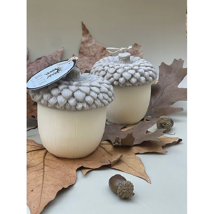 home-decor/candles-home-fragrance/myth-and-wild-acorn-candle