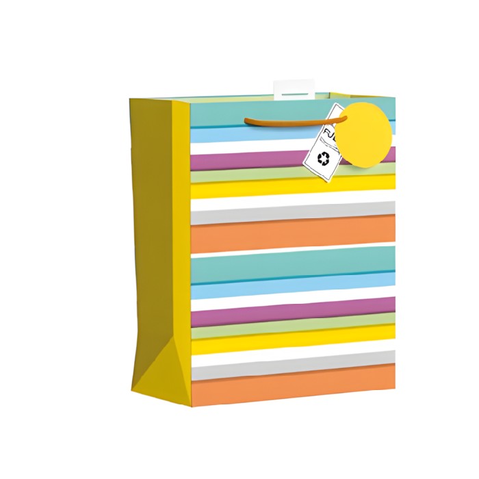kids-and-stationery/stationery-gift-bags-wrapping-paper/large-party-stripe-gift-bag-35cm-x-10cm-x-27cm
