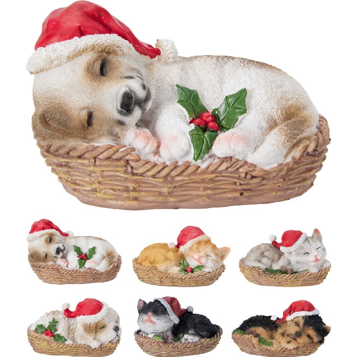 christmas/decorations/pet-with-christmas-hat-in-basket-–-6-assorted