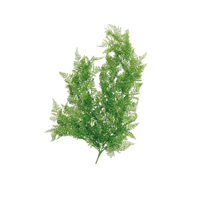 home-decor/artificial-plants-flowers/fern-branch-83cm