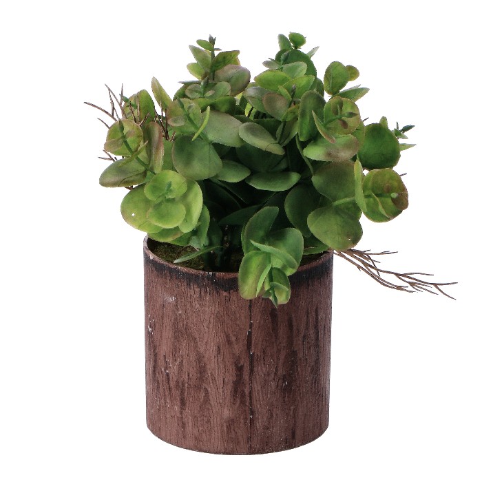 home-decor/artificial-plants-flowers/pot-with-plant-–-8cm-x-h16cm