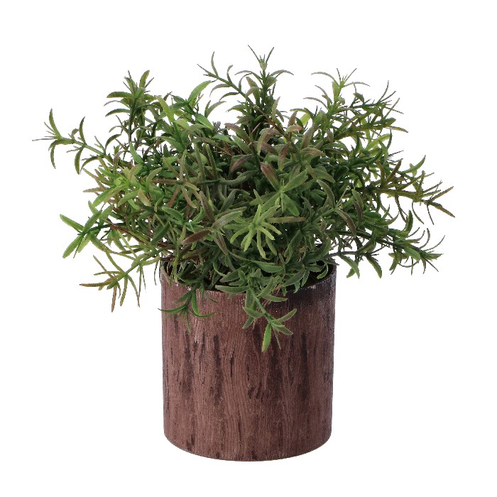 home-decor/artificial-plants-flowers/pot-with-plant-–-8cm-x-h18cm