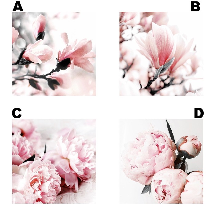 home-decor/wall-decor/painting-flowers-–-40cm-x-40cm-4-assorted
