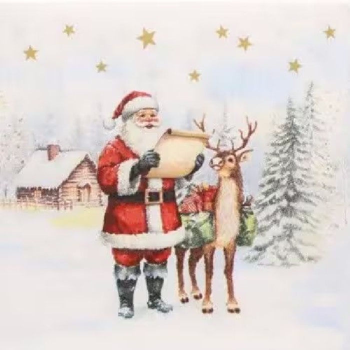 tableware/miscellaneous-tableware/papstar-christmas-napkins-dear-santa
