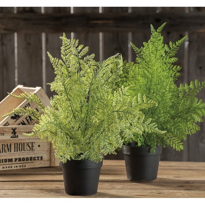 home-decor/artificial-plants-flowers/pot-felce-33x38h-2-col