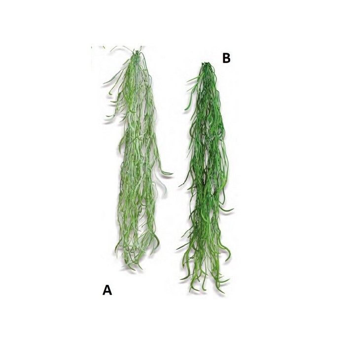 home-decor/artificial-plants-flowers/ramos-hanging-92cm-2-assort
