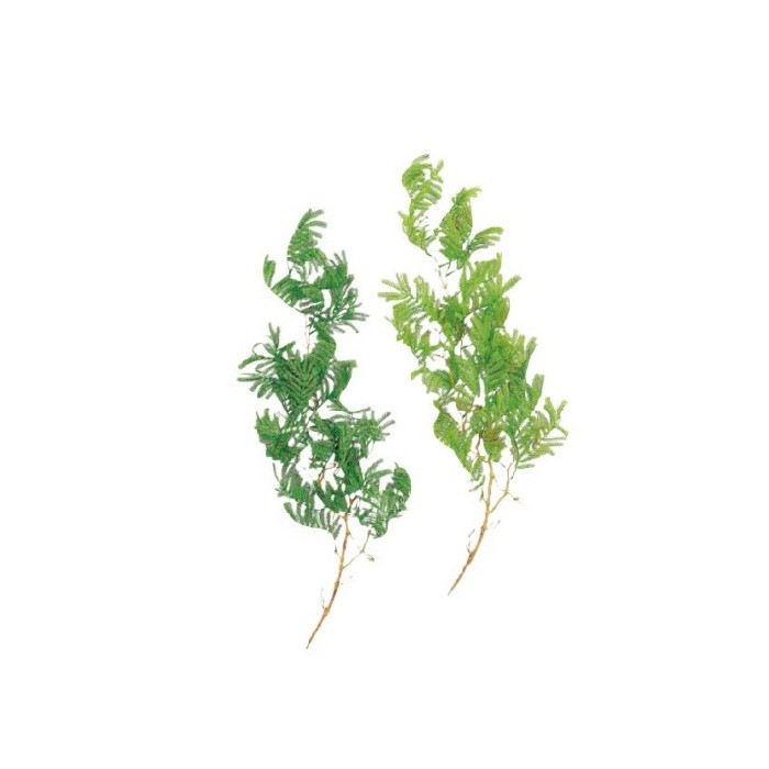 home-decor/artificial-plants-flowers/ramos-leaves-97cm-2-col