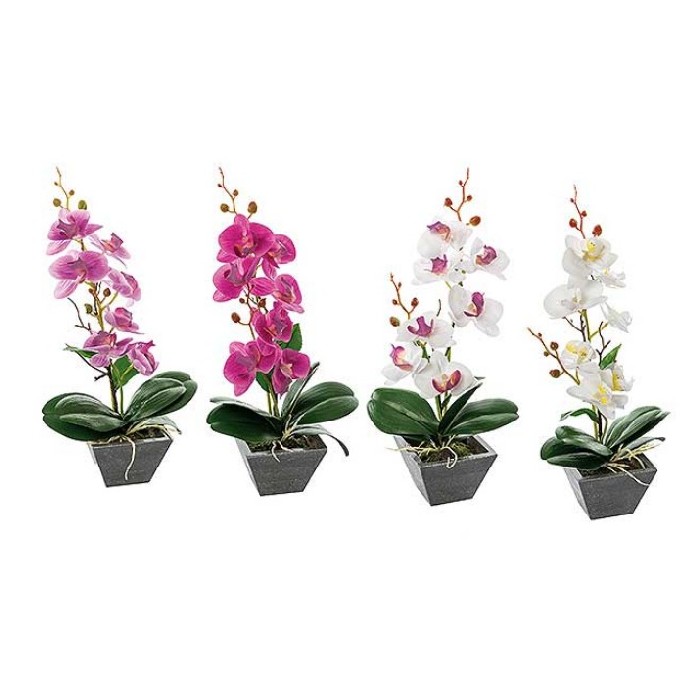 home-decor/artificial-plants-flowers/orchid-in-pot-4-assorted-colours