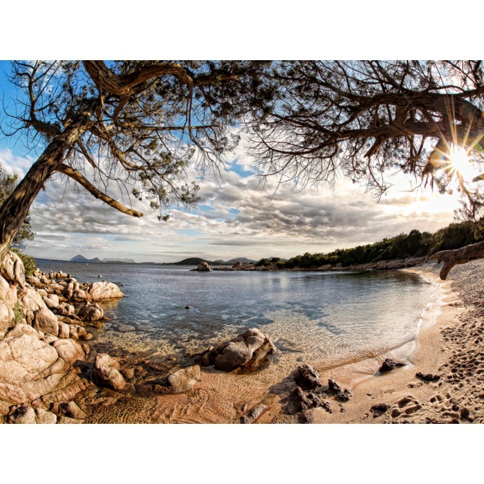 home-decor/wall-decor/styler-canvas-nature-85cm-x-113cm-st315-sardinia