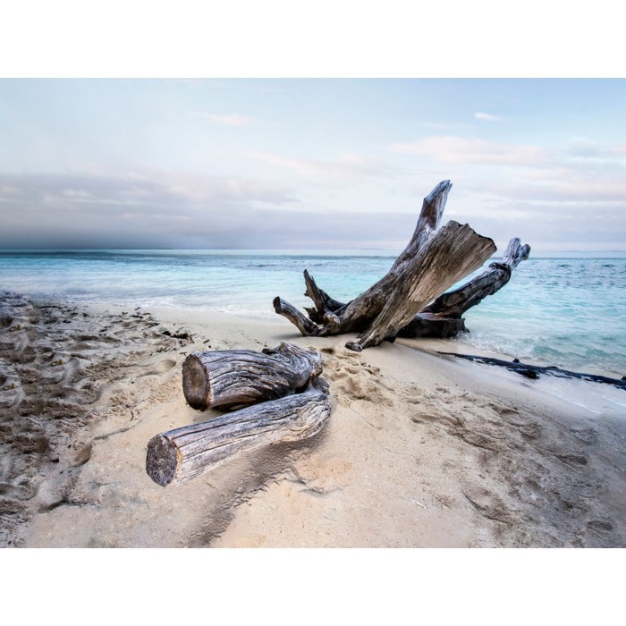 home-decor/wall-decor/styler-canvas-sand-85cm-x-113cm-st470-branch
