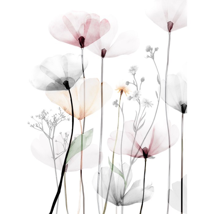 home-decor/wall-decor/styler-canvas-flowers-60cm-x-80cm-st543-modern-p