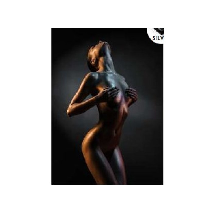 home-decor/wall-decor/styler-canvas-silver-70x100-st653-act