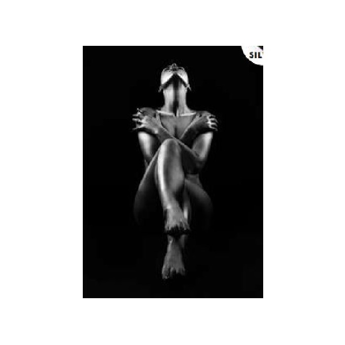 home-decor/wall-decor/styler-canvas-silver-70cm-x-100cm-st647-bw-act