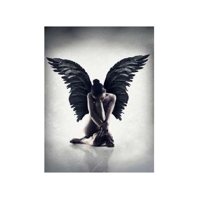 home-decor/wall-decor/styler-canvas-60x80-st669-engel