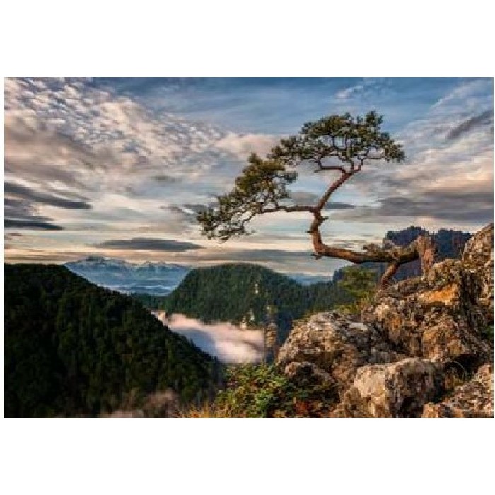home-decor/wall-decor/styler-canvas-85cm-x-113cm-st700-sokolica