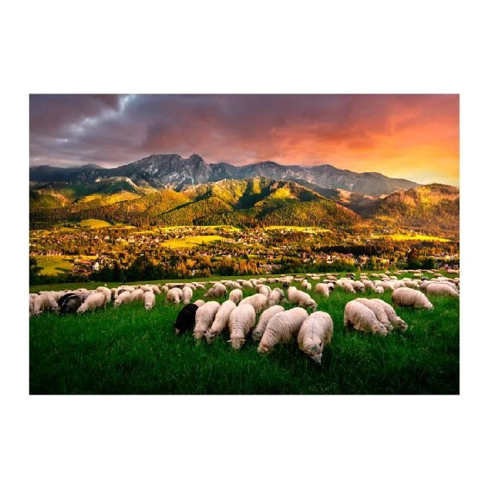 home-decor/wall-decor/styler-canvas-70cm-x-100cm-st814-zakopane