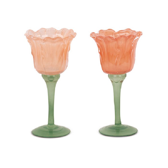 home-decor/candle-holders-lanterns/decorative-peach-tulip-glass-candle-holder-diameter-10cm-x-h20cm-2-assorted