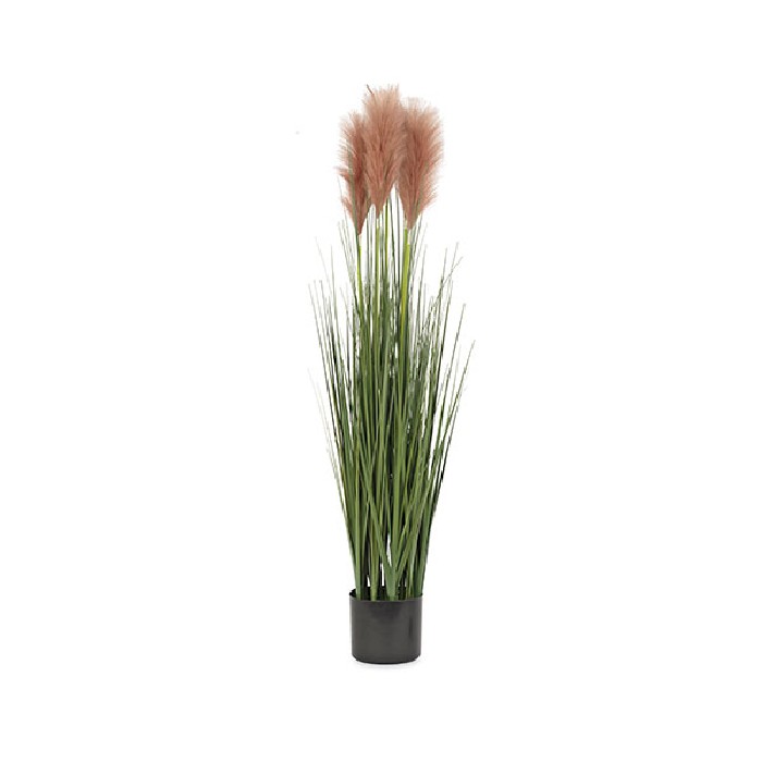 home-decor/artificial-plants-flowers/pampas-marrone-glass-height-110cm