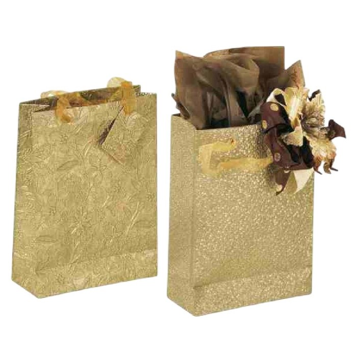 kids-and-stationery/stationery-gift-bags-wrapping-paper/champagne-shopper-gift-bag-20cm-x-9cm-x-28cm-assorted